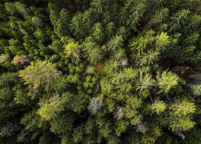 Chaletdorf - Pitztal Alpesi faház Sankt Leonhard im Pitztal