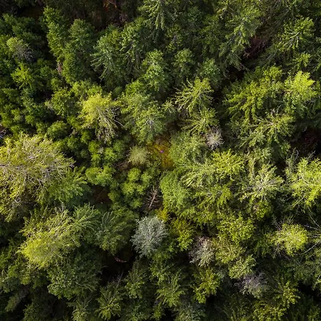 Chaletdorf - Pitztal Alpehytte Sankt Leonhard im Pitztal